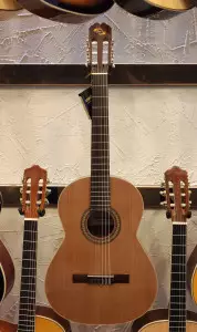 رنگبندی و تعمیر گیتار آدمیرا f5